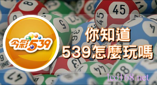 539下注