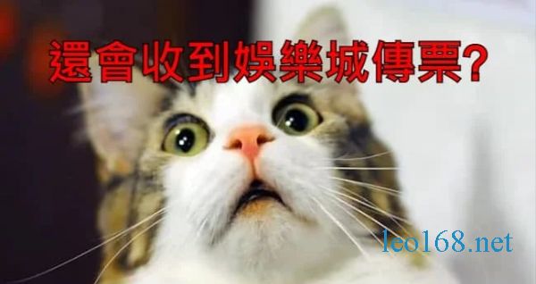 玩娛樂城收到傳票怎麼辦？！資深玩家教你避免與解決之道！